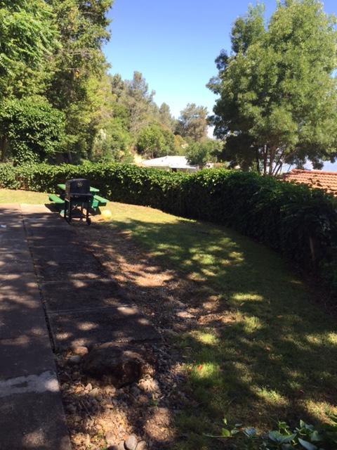 Clear Lake Vista Resort Kelseyville エクステリア 写真