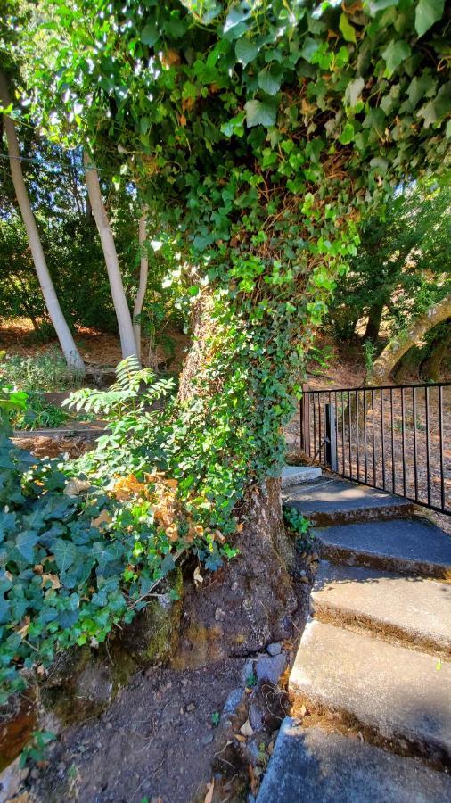 Clear Lake Vista Resort Kelseyville エクステリア 写真